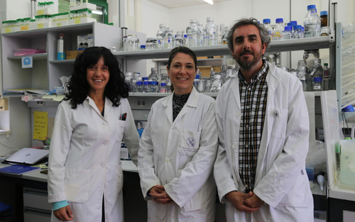 De izquierda a derecha, las investigadoras María Jesús Torres, Alexandra Dubini y el investigador David González, autores del trabajo. / UCO.