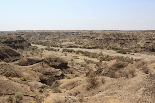 Yacimientos de Gona (Etiopía). FOTO: IPHES.
